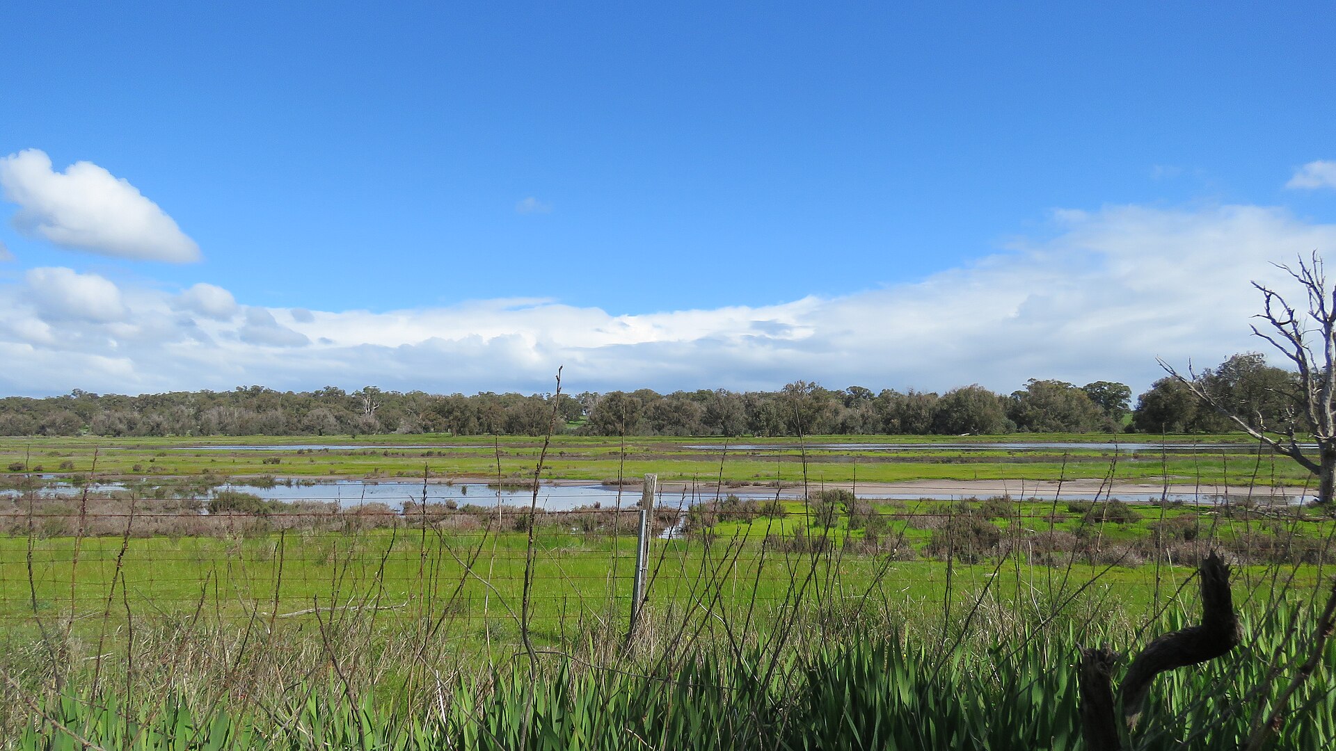 File:Rural landscape at Point Grey, Western Australia, August 2023 02.jpg