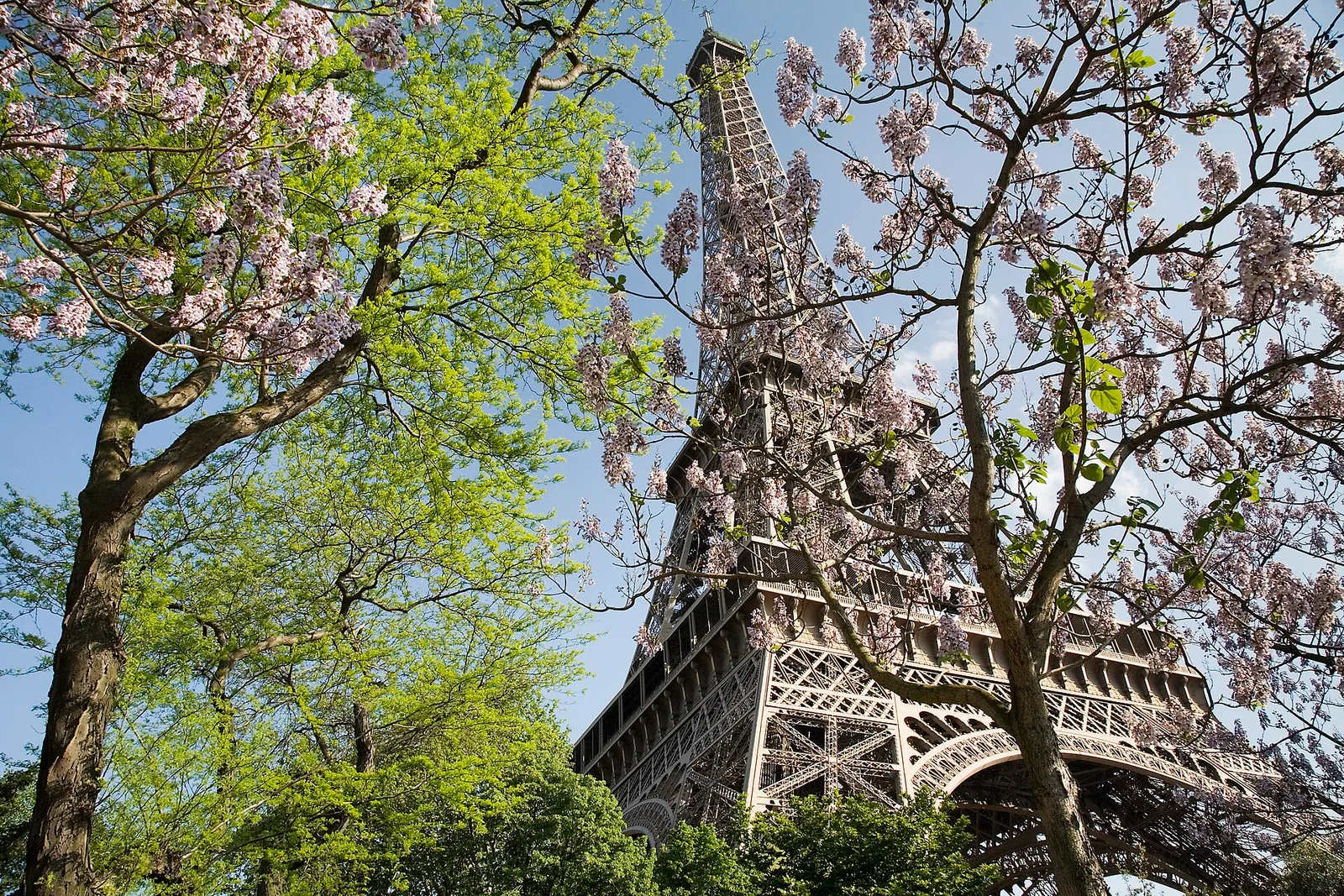 Related file image: Paris - The Eiffel Tower in spring - 2307
