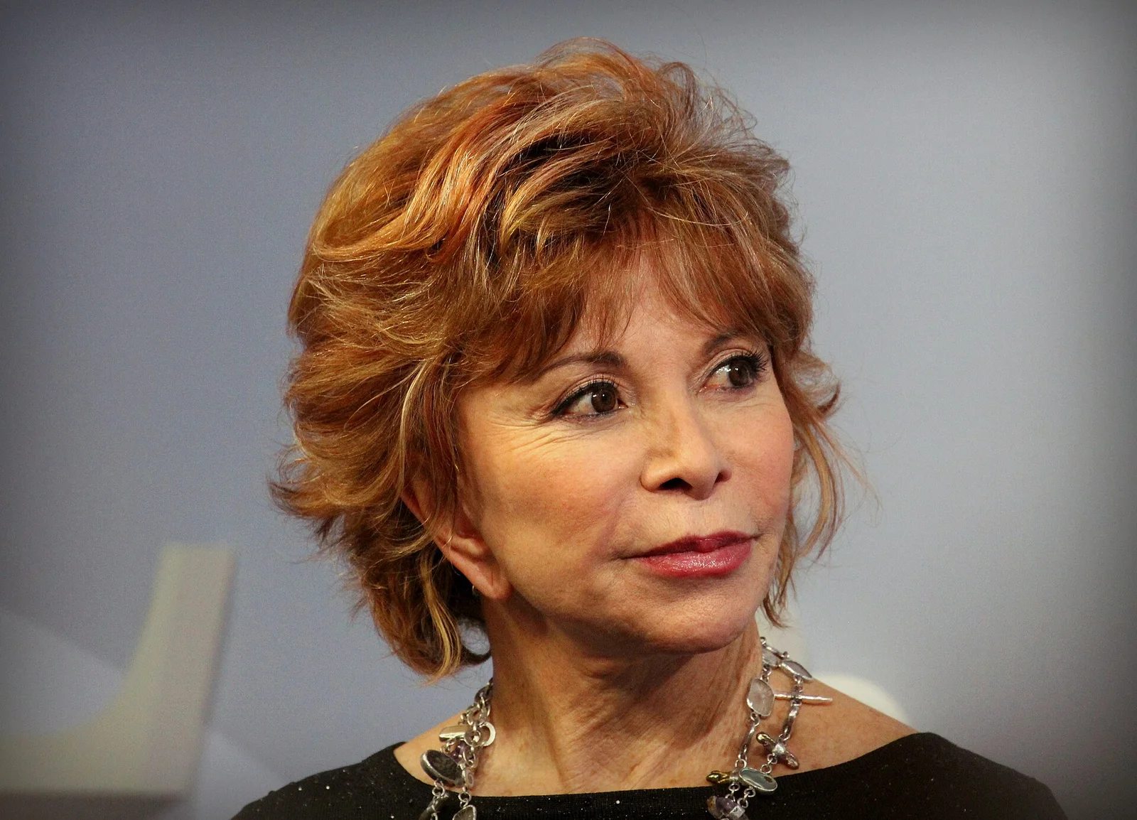 Related file image: Isabel Allende Frankfurter Buchmesse 2015