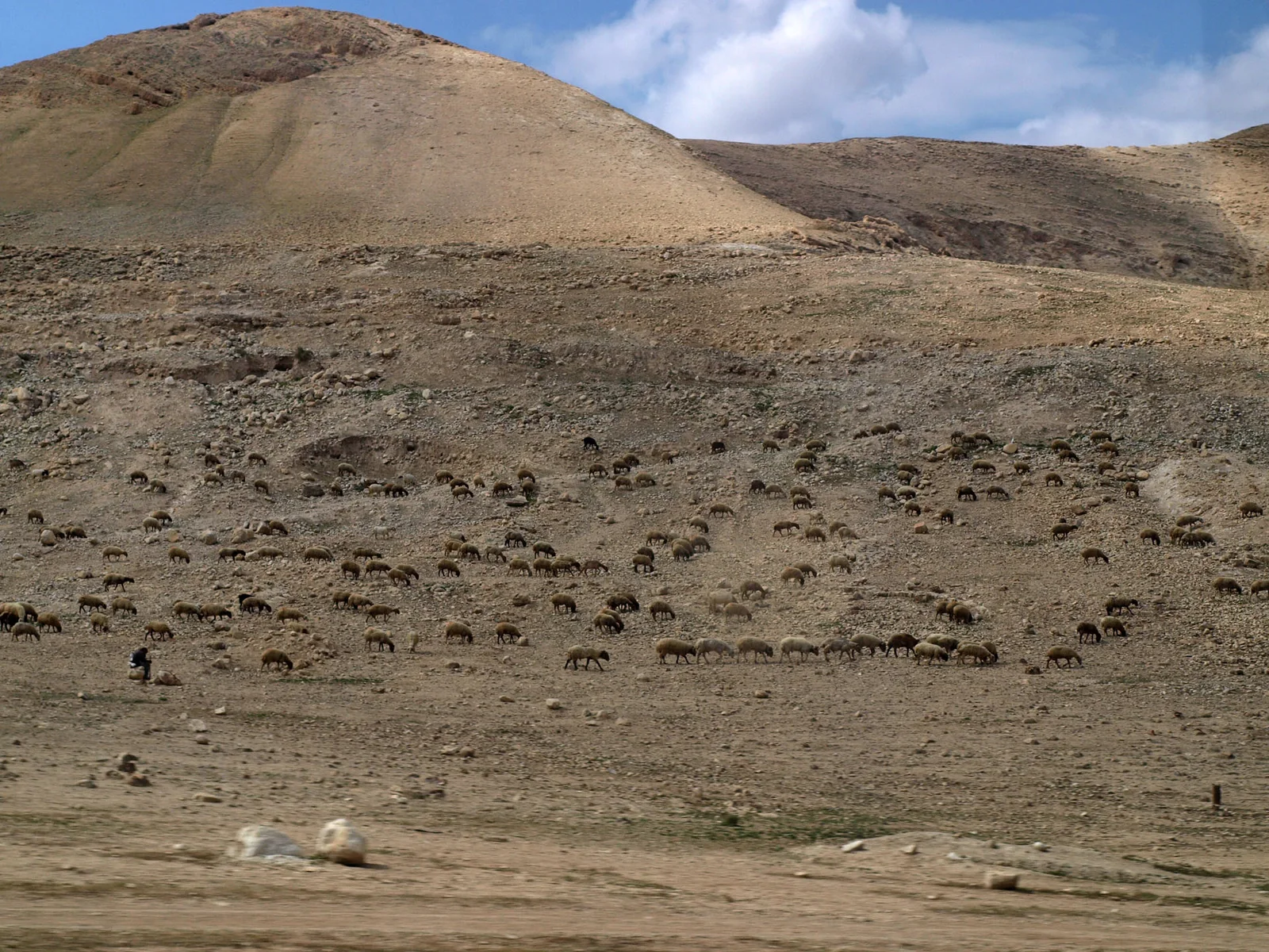 Related file image: Bedouin on the West Bank of the Jordan River
