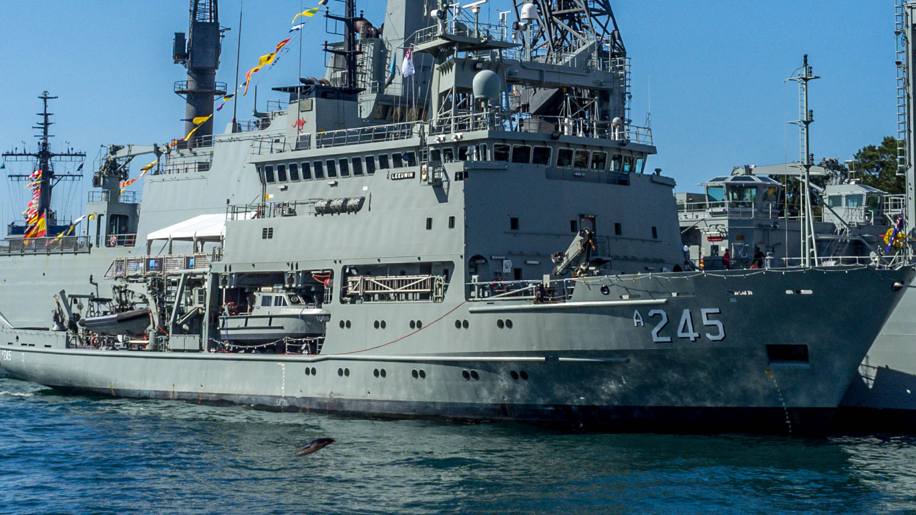 File:HMAS Leeuwin (A 245).jpg