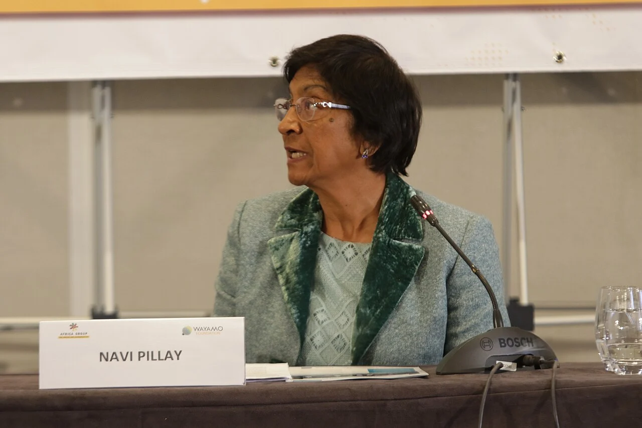 File image: Navi Pillay