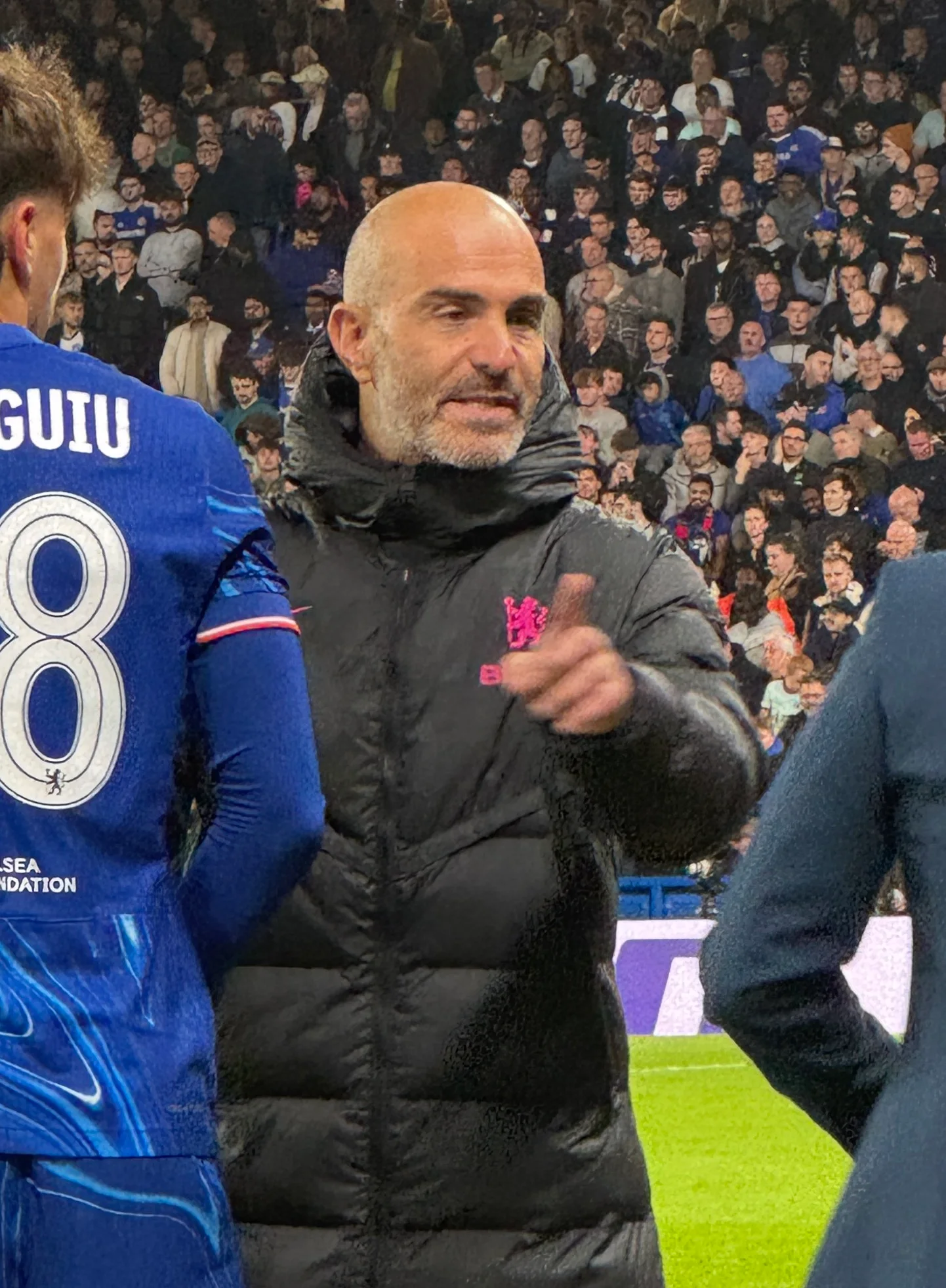 Related file image: Enzo maresca chelsea gent 2024