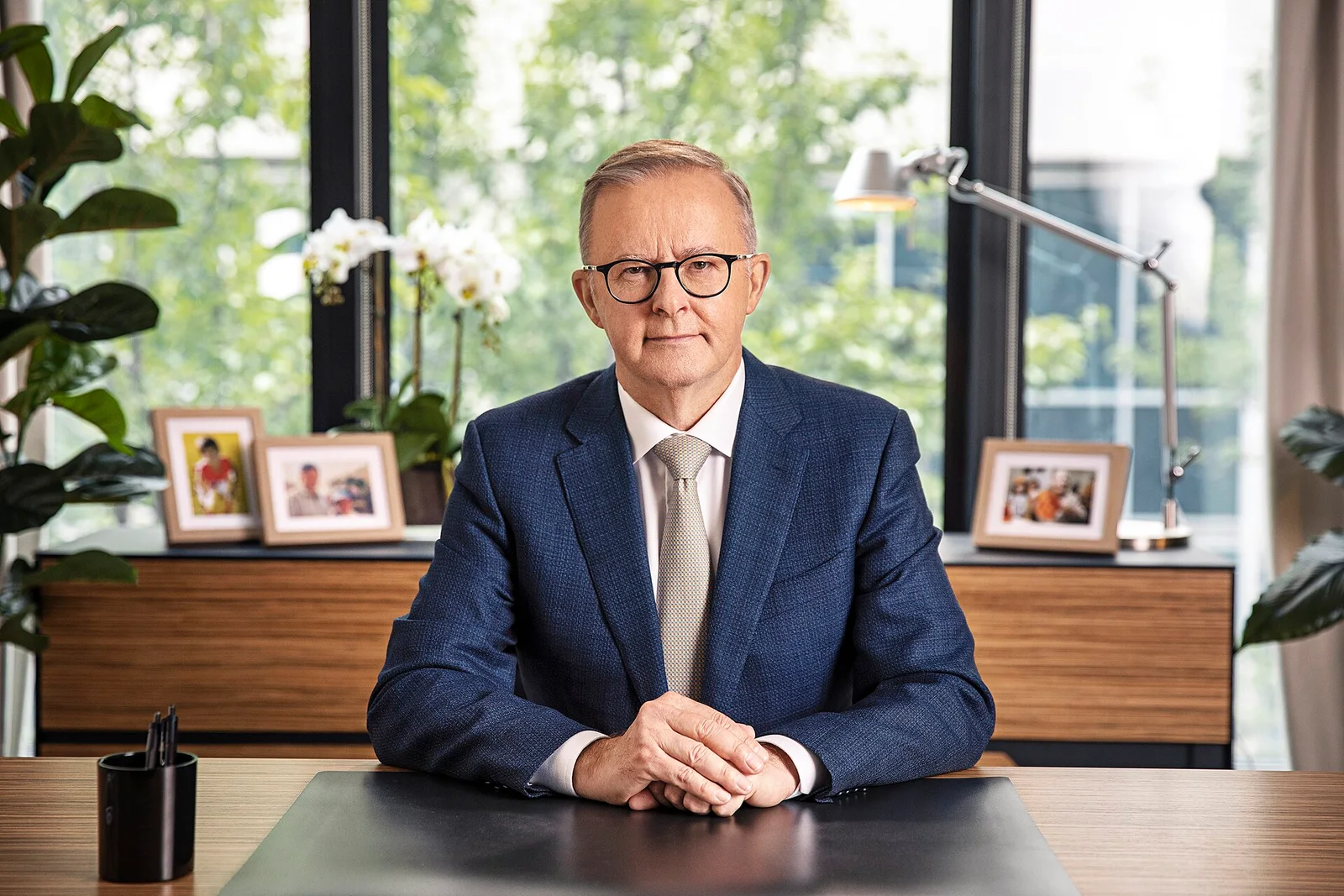 Related file image: Anthony Albanese portrait