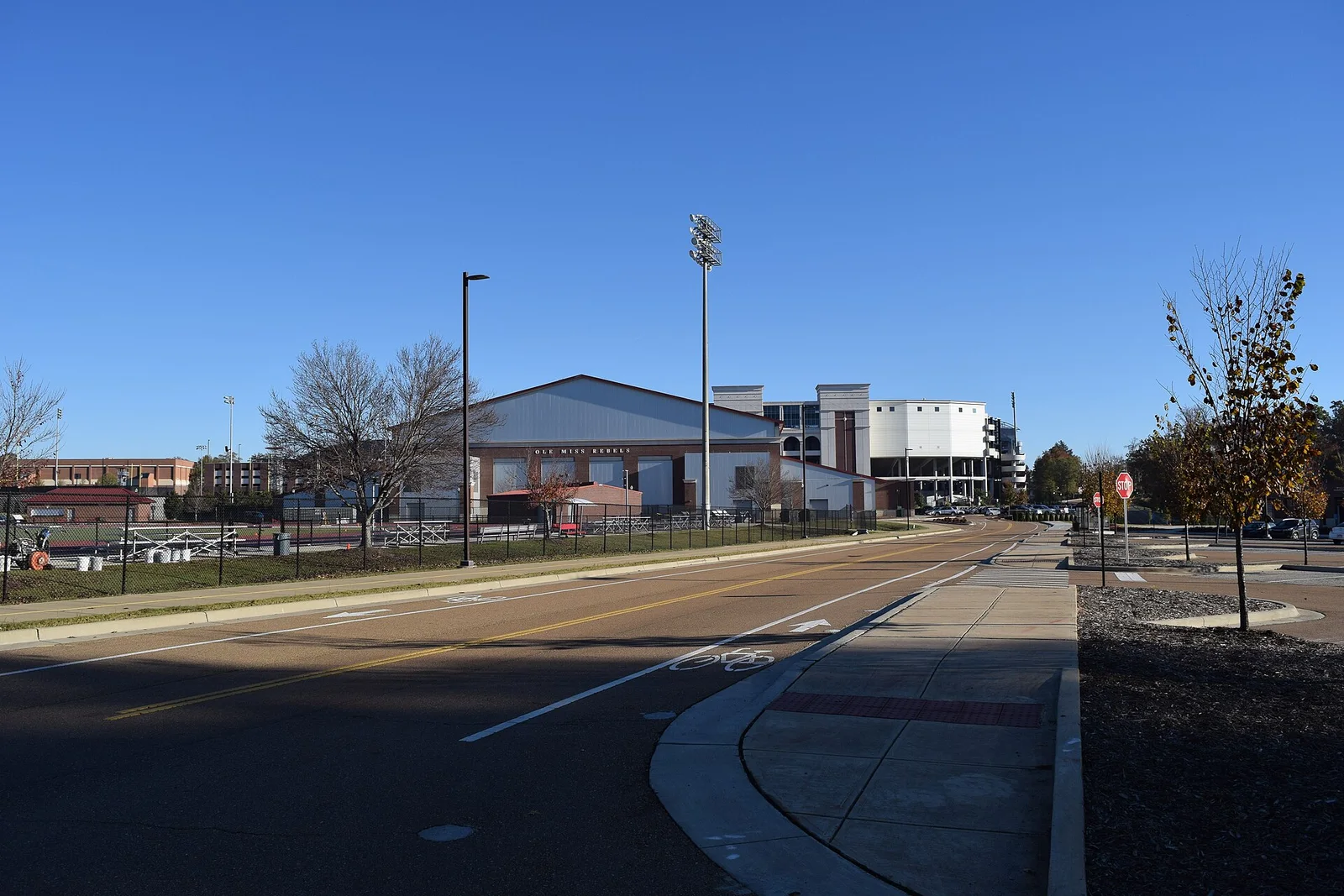 Related file image: Road on the University of Mississippi campus